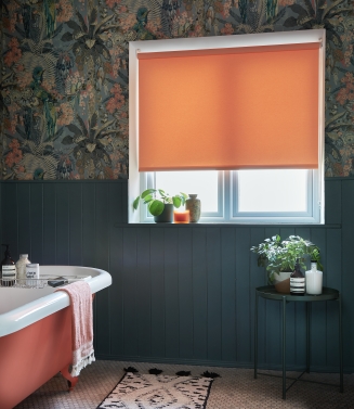 POLARIS CANTALOUPE 2022