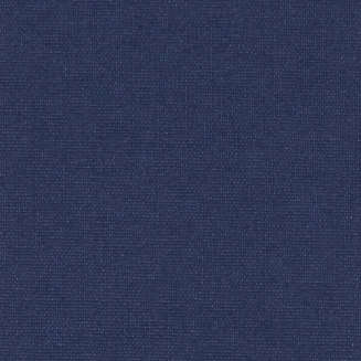 Polaris Navy Blackout - New 2022