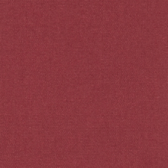 Polaris Wine Blackout - New 2022