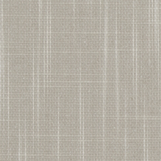 Shantung Silver - New 2022