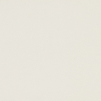 Essence Canvas - New 2022