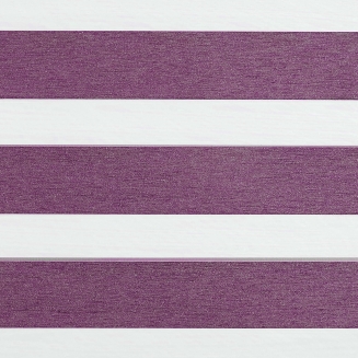 Beam Orchid - New 2022