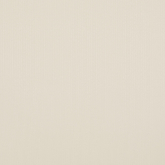 Corsica Ivory - New 2022