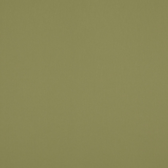 Polaris Green - New 2022