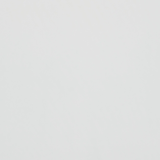 Polaris Blackout White - New 2022