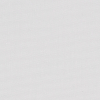 Polaris White - New 2022