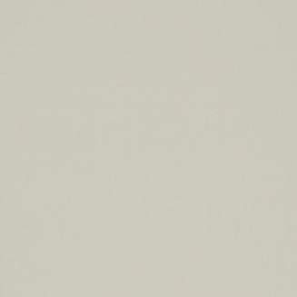 Bandlight Duo FR - New 2022