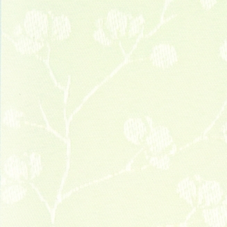 Lotus Vanilla - New 2022