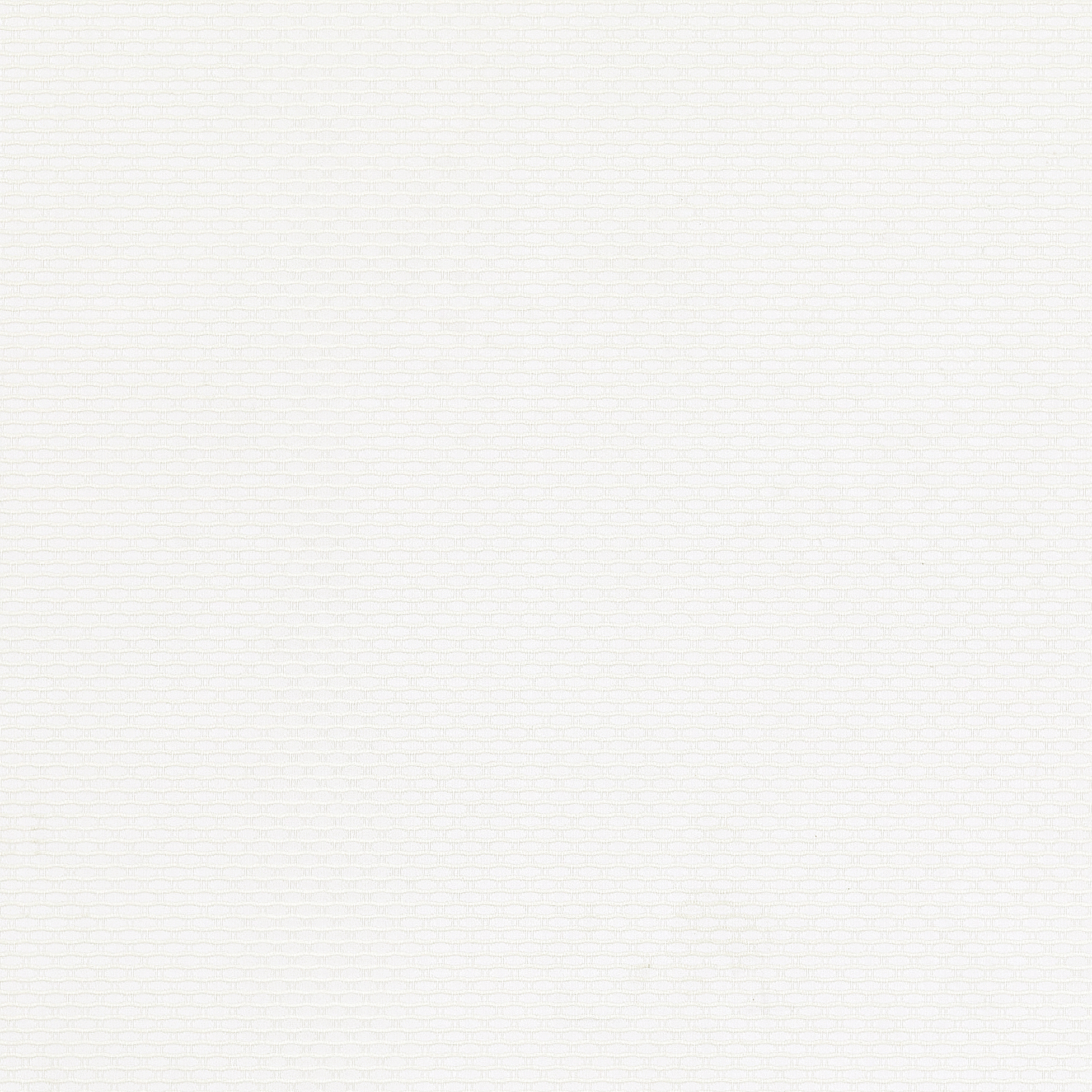 Aspen Powder - New 2025