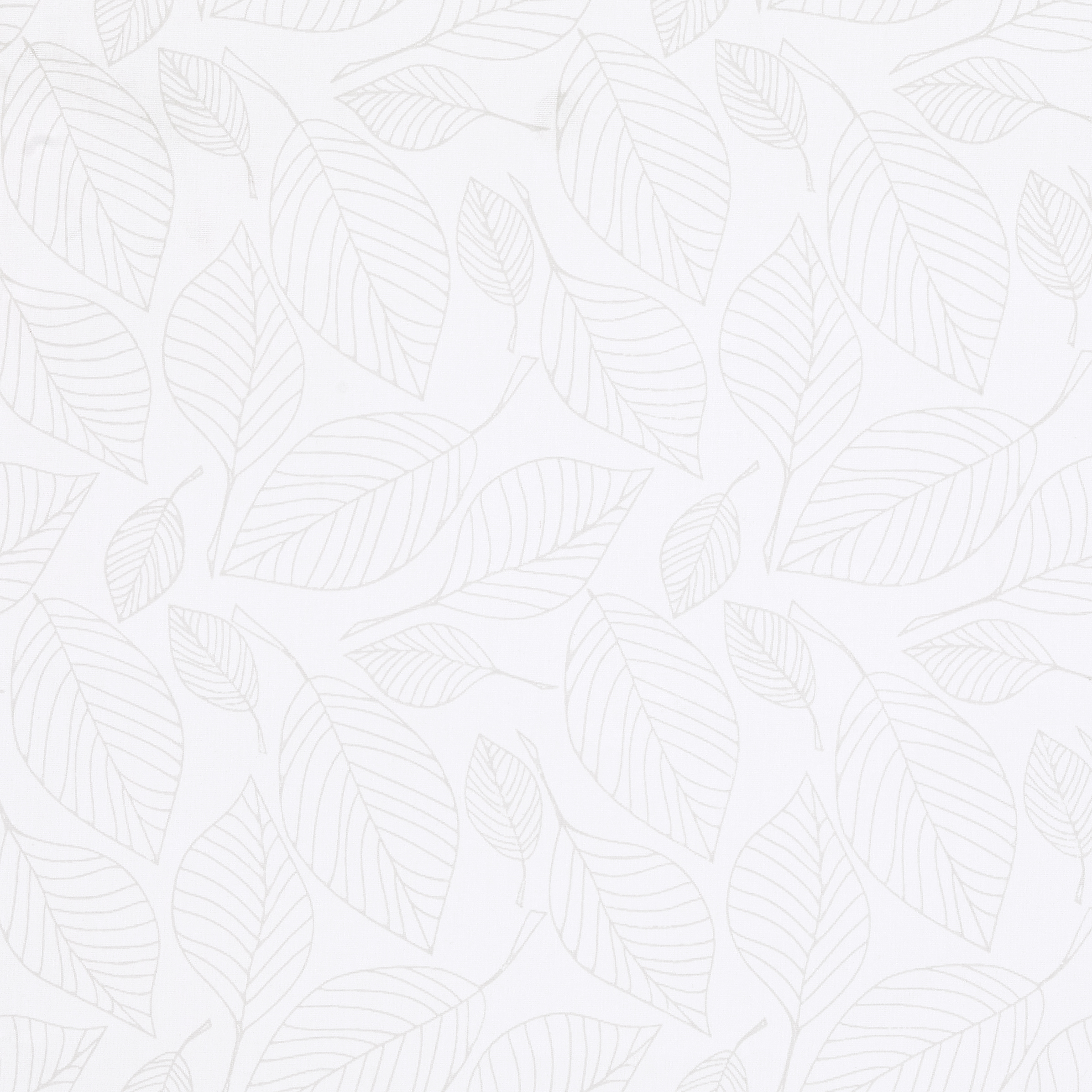 Autumn White - New 2025