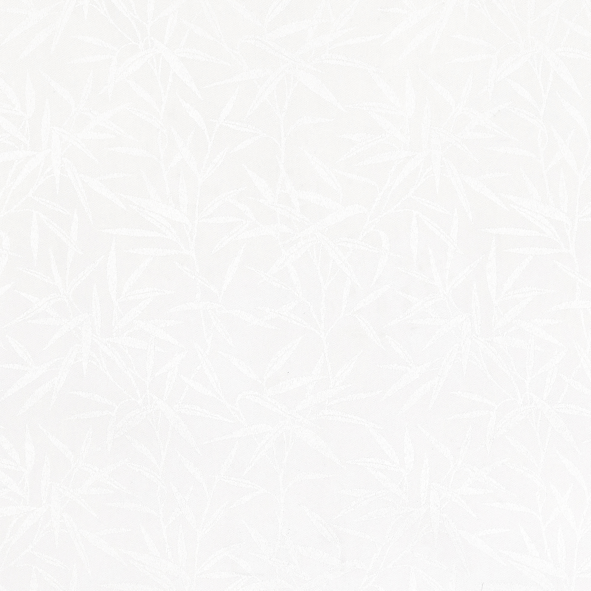 Bamboo White - New 2025