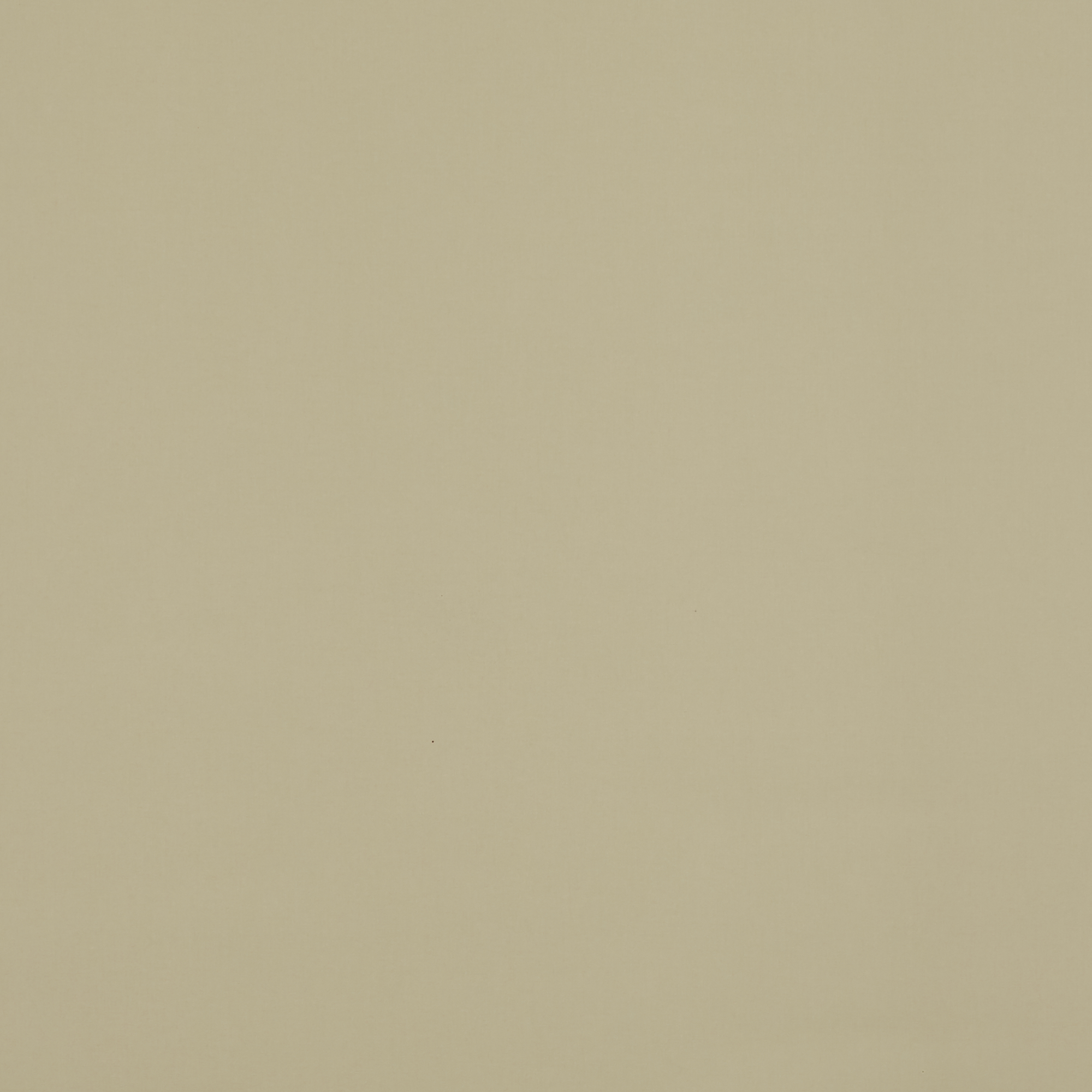 Banlight Blackout Biscotti - New 2025