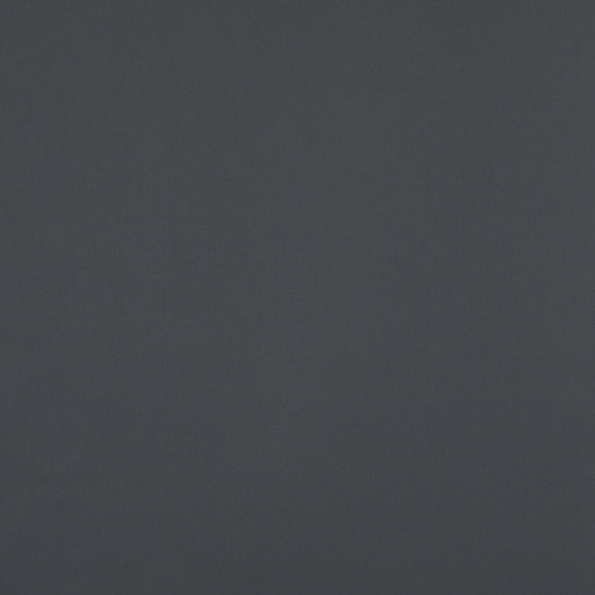 Banlight Charcoal Blackout - New 2025