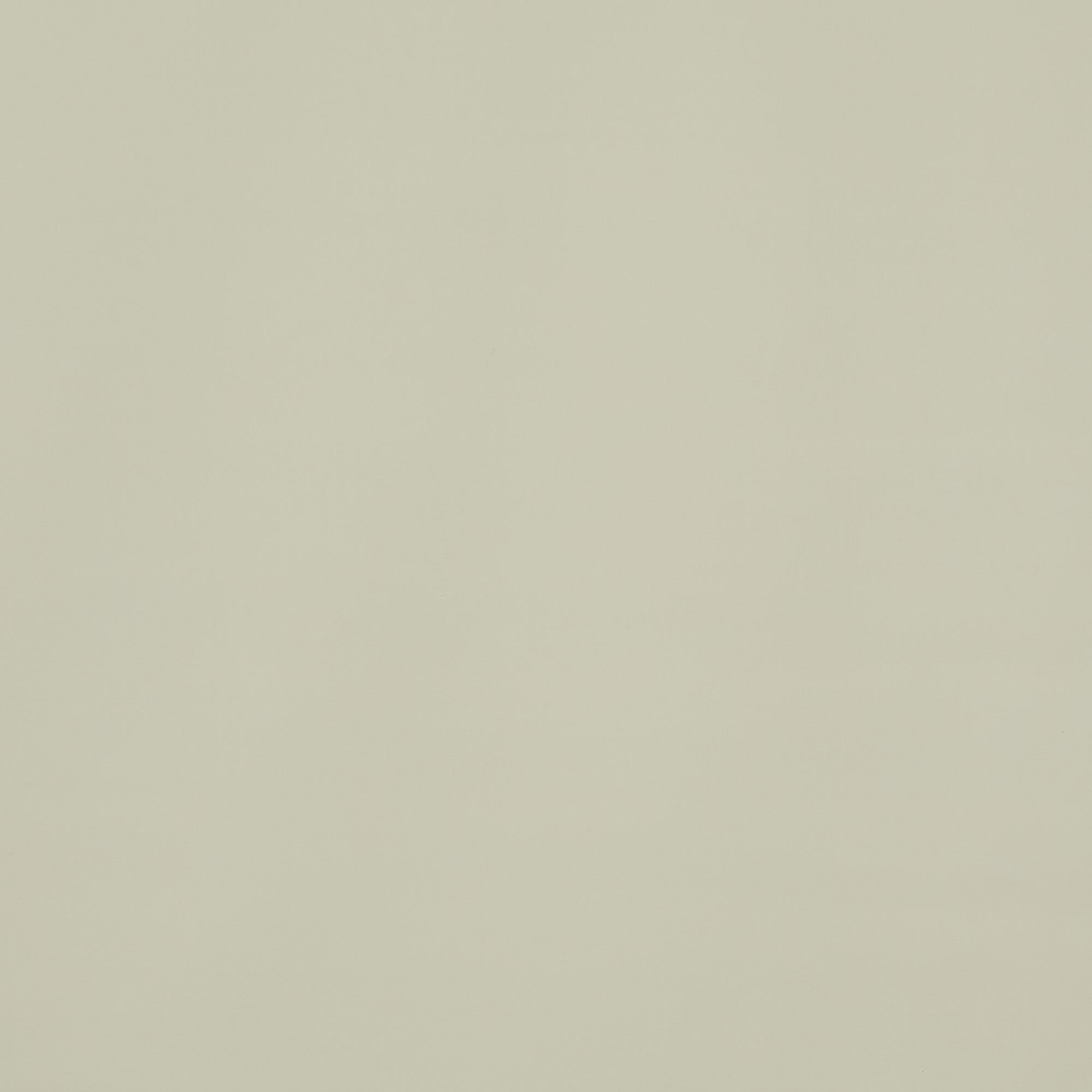 Banlight Calico Blackout - New 2025