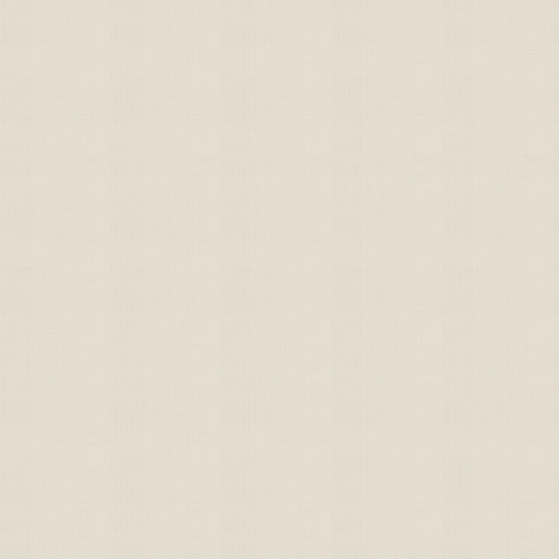 Banlight Nude - New 2025