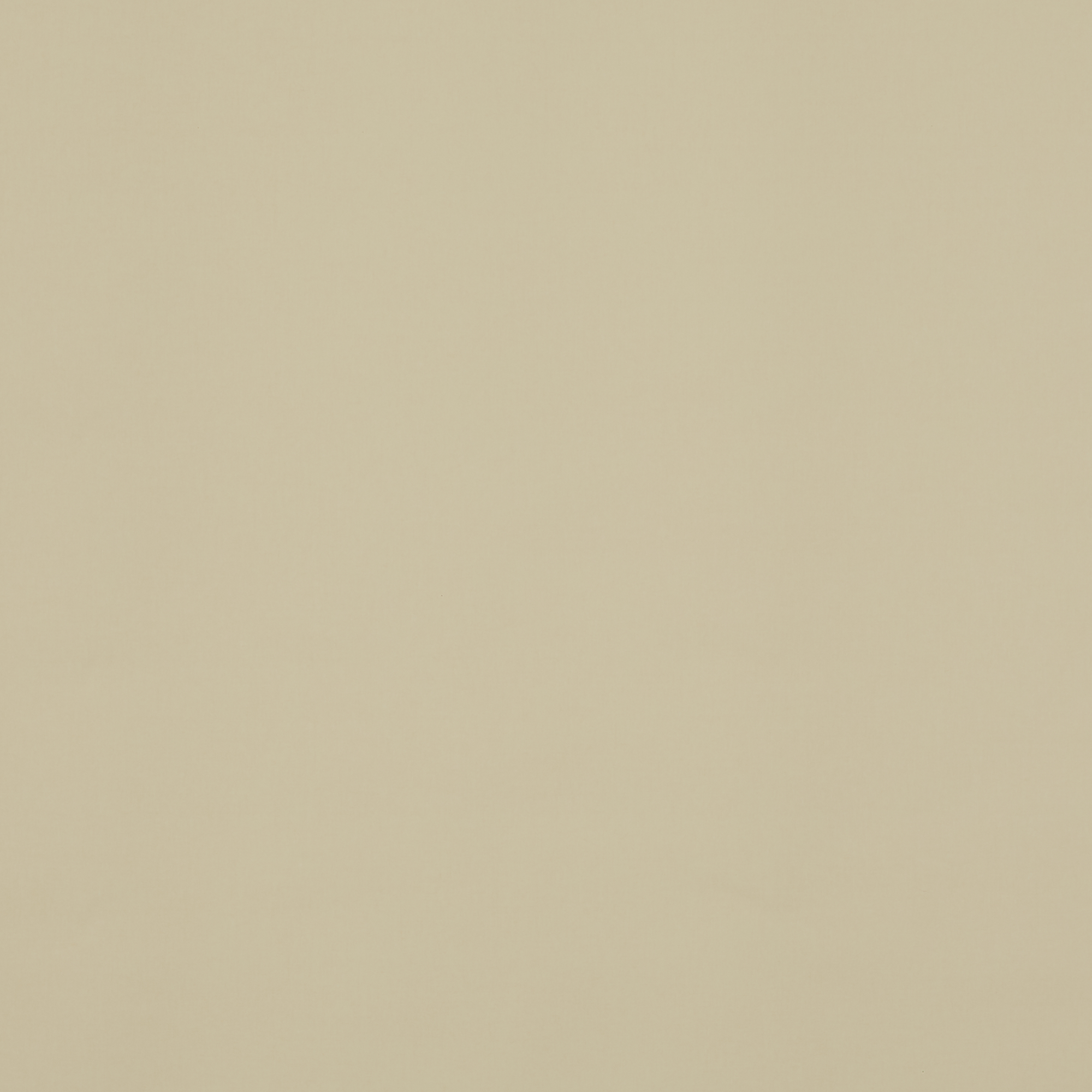 Banlight Linen Blackout - New 2025