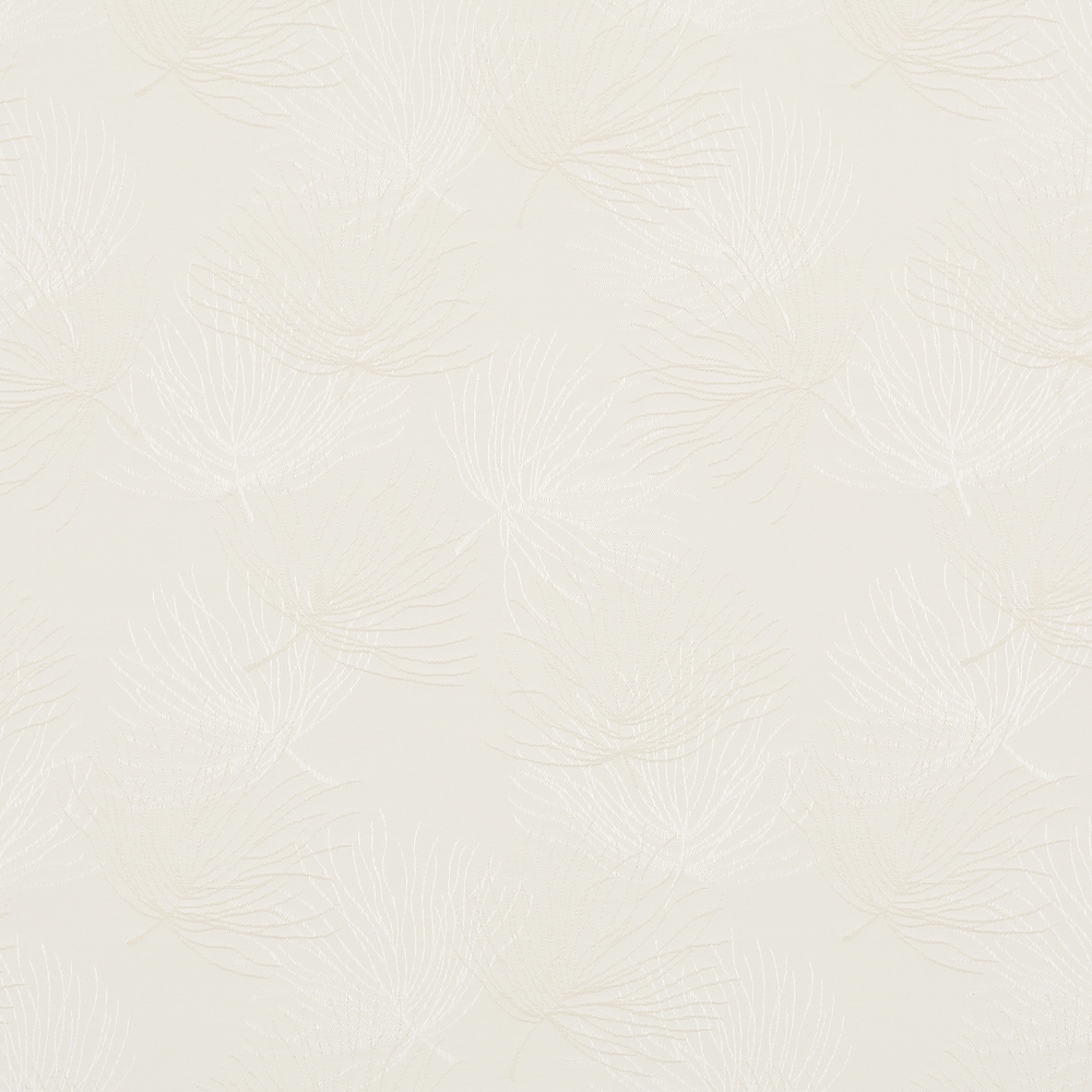 Bonsai Magnolia - New 2025