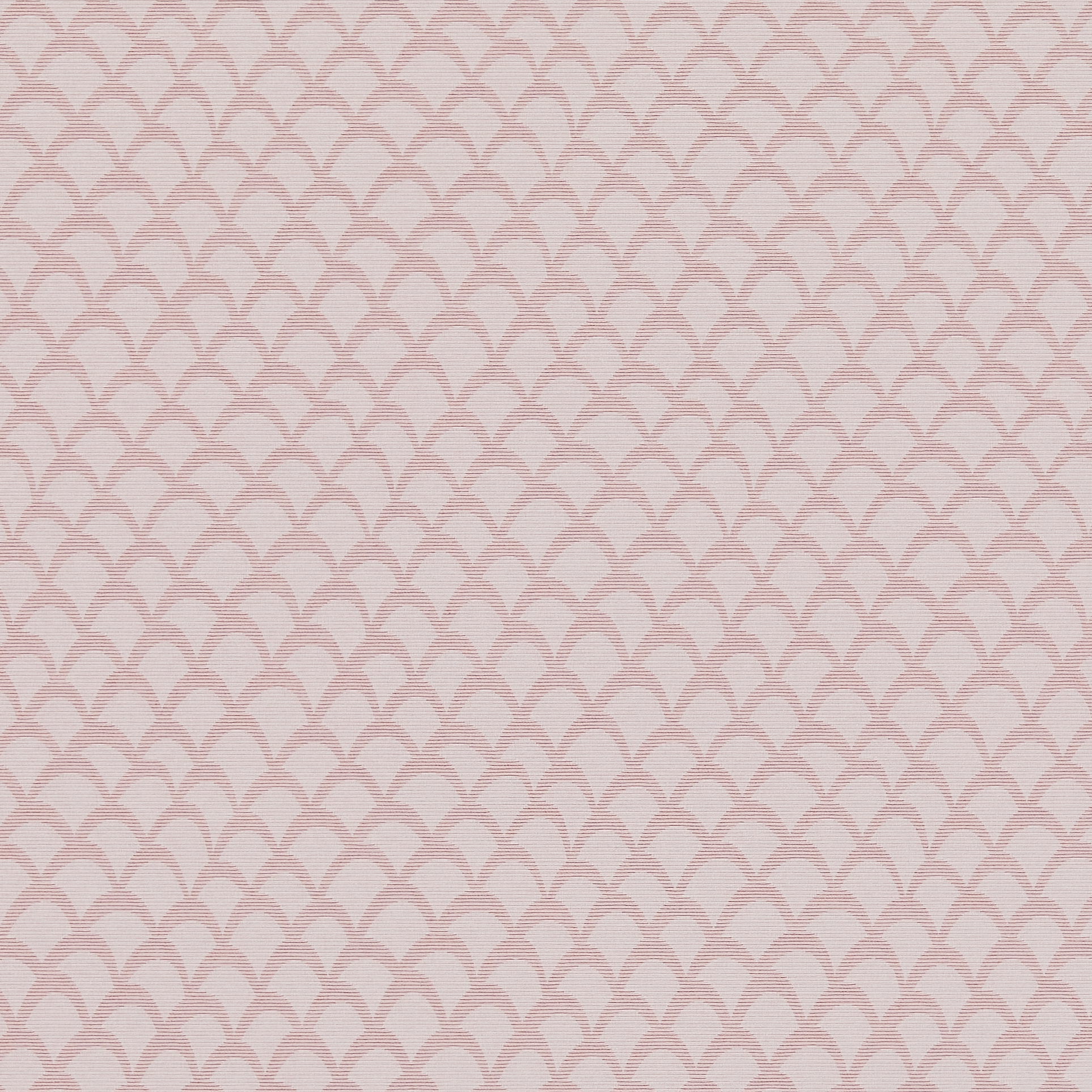 Claudia Bubblegum - New 2025