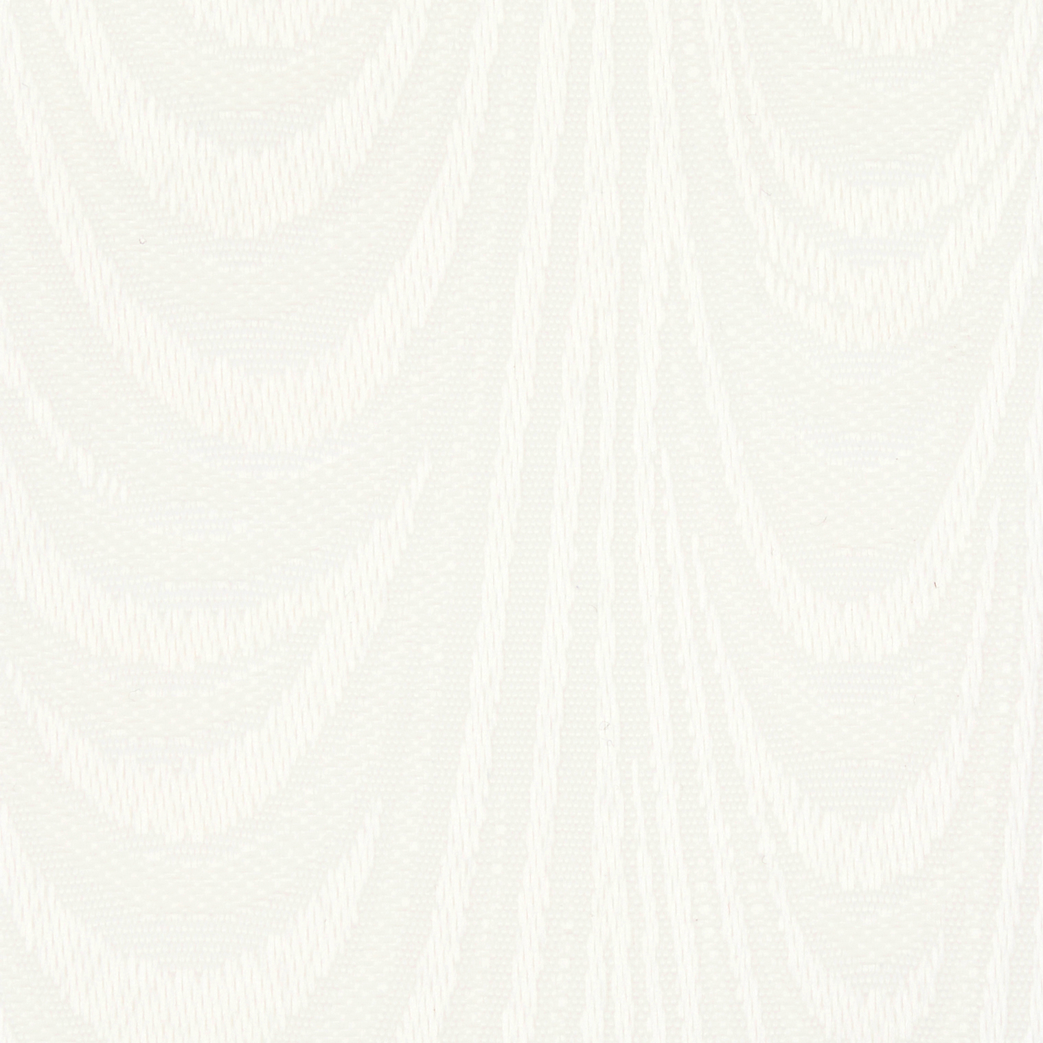 Evita Linen - New 2025