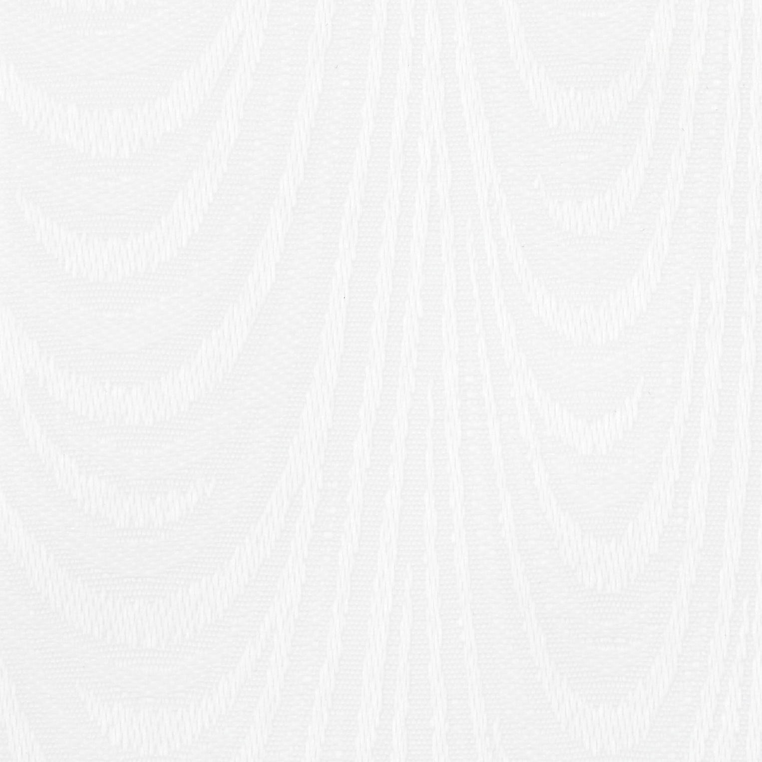 Evita White - New 2025