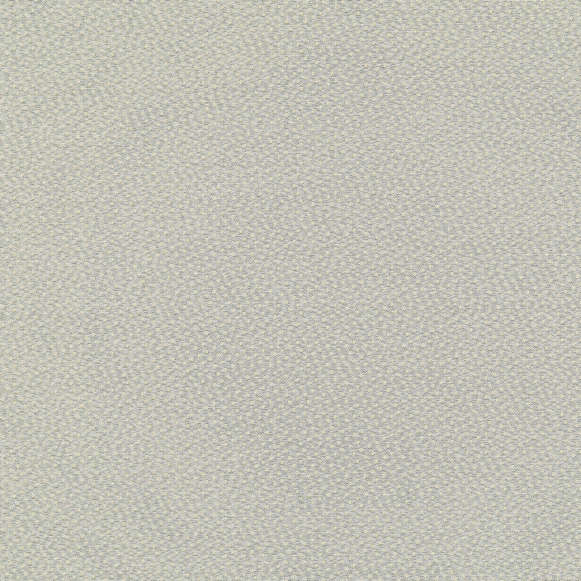 Fuse Tinse -  New 2025