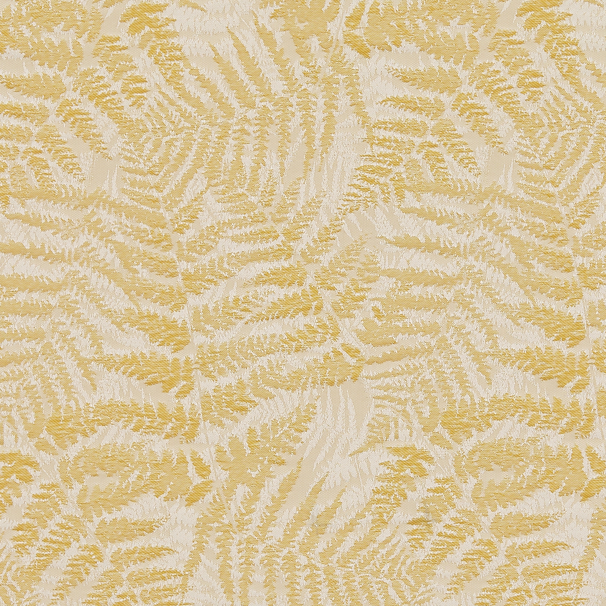 Ida Yellow - New 2025