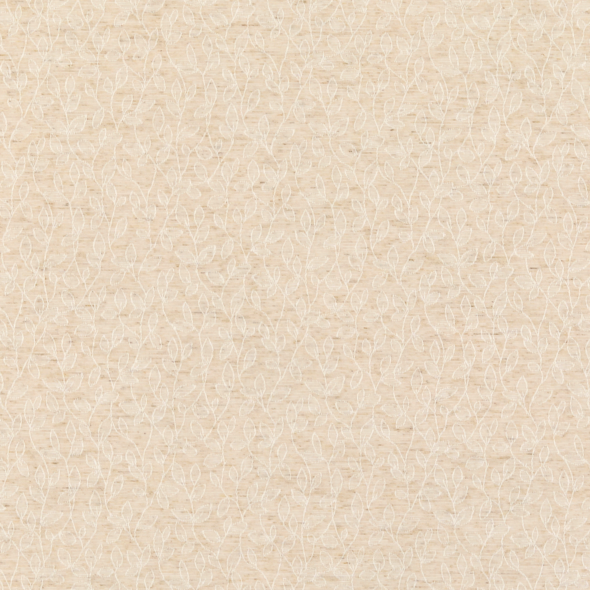 Jude Candyfloss - New 2025