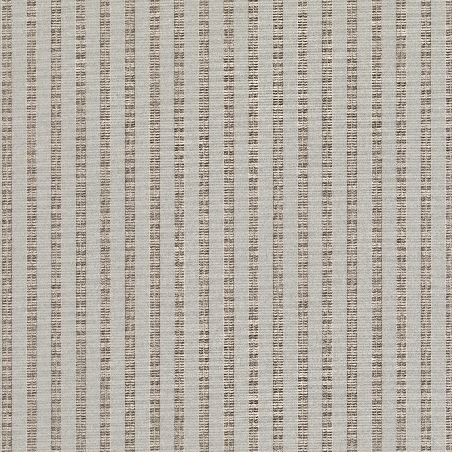 Lina Biscuit - New 2025