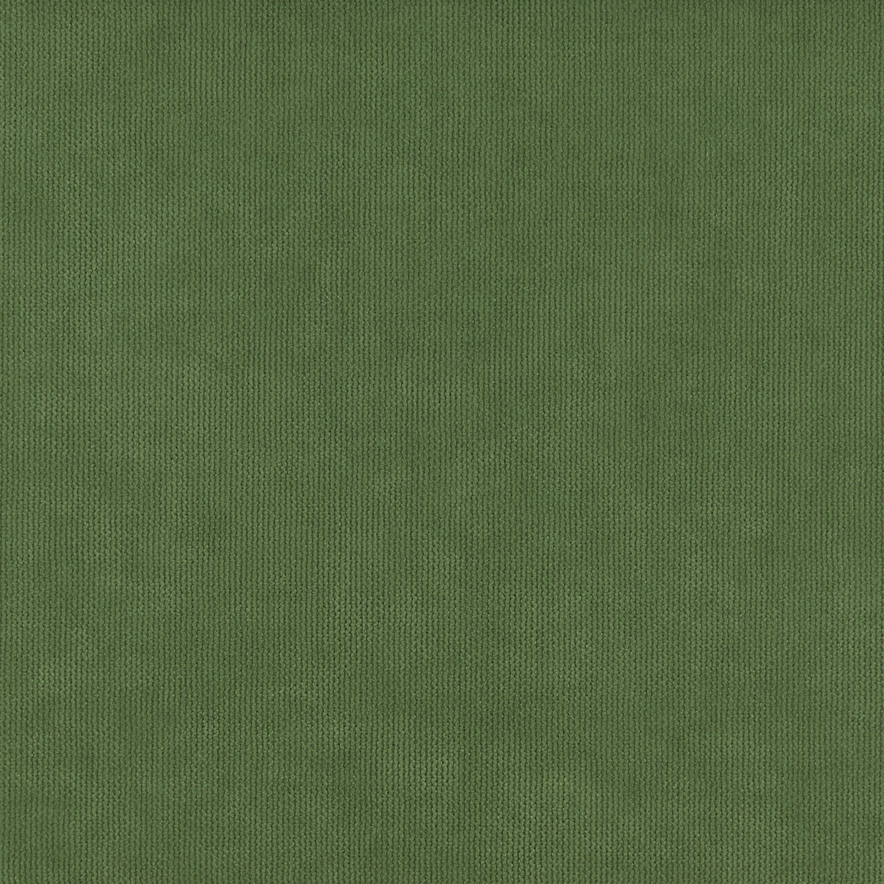 Shona Moss Blackout Velvet Roller -2025