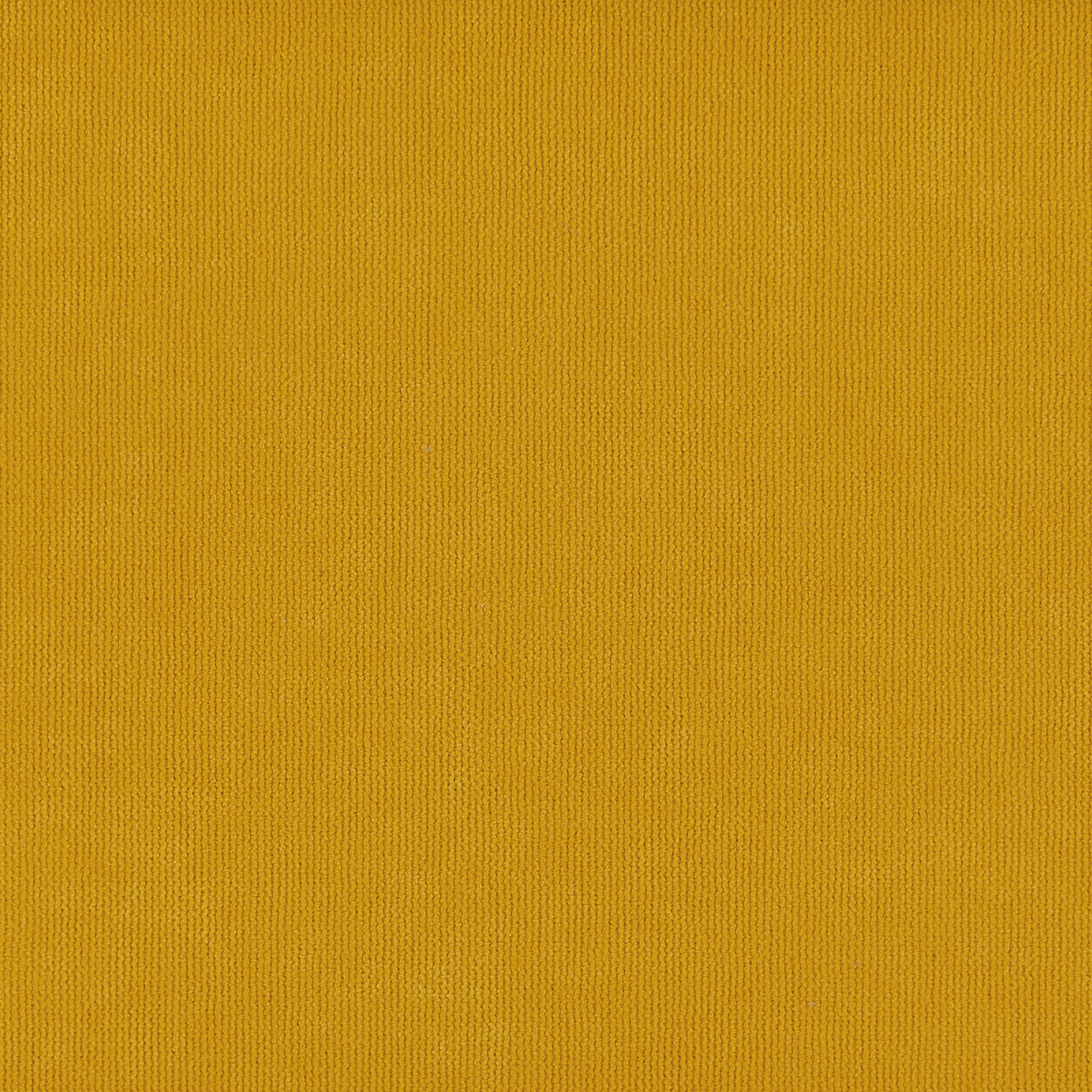 Shona Mustard Blackout Velvet Roller -2025