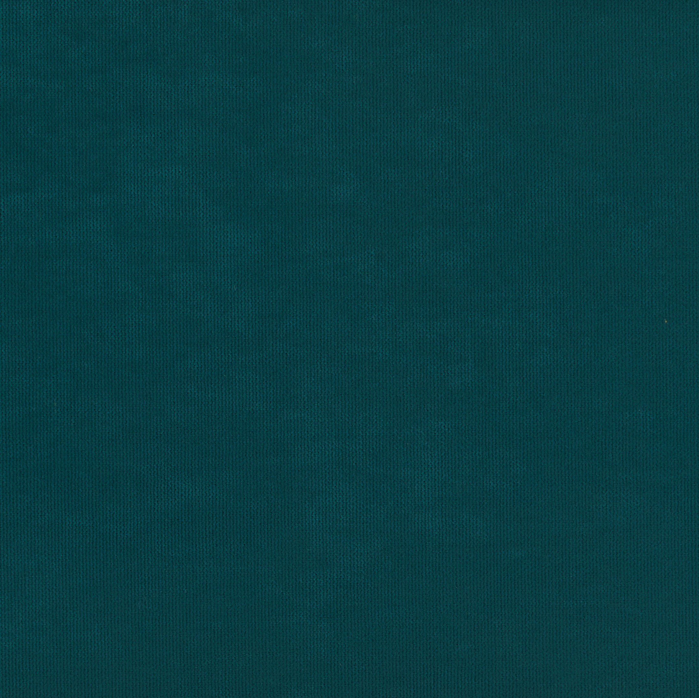 Shona Teal Blackout Velvet - 2025
