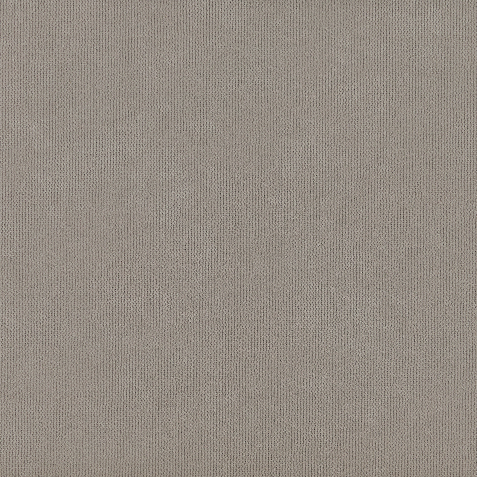 Shona Taupe Blackout Velvet - 2025