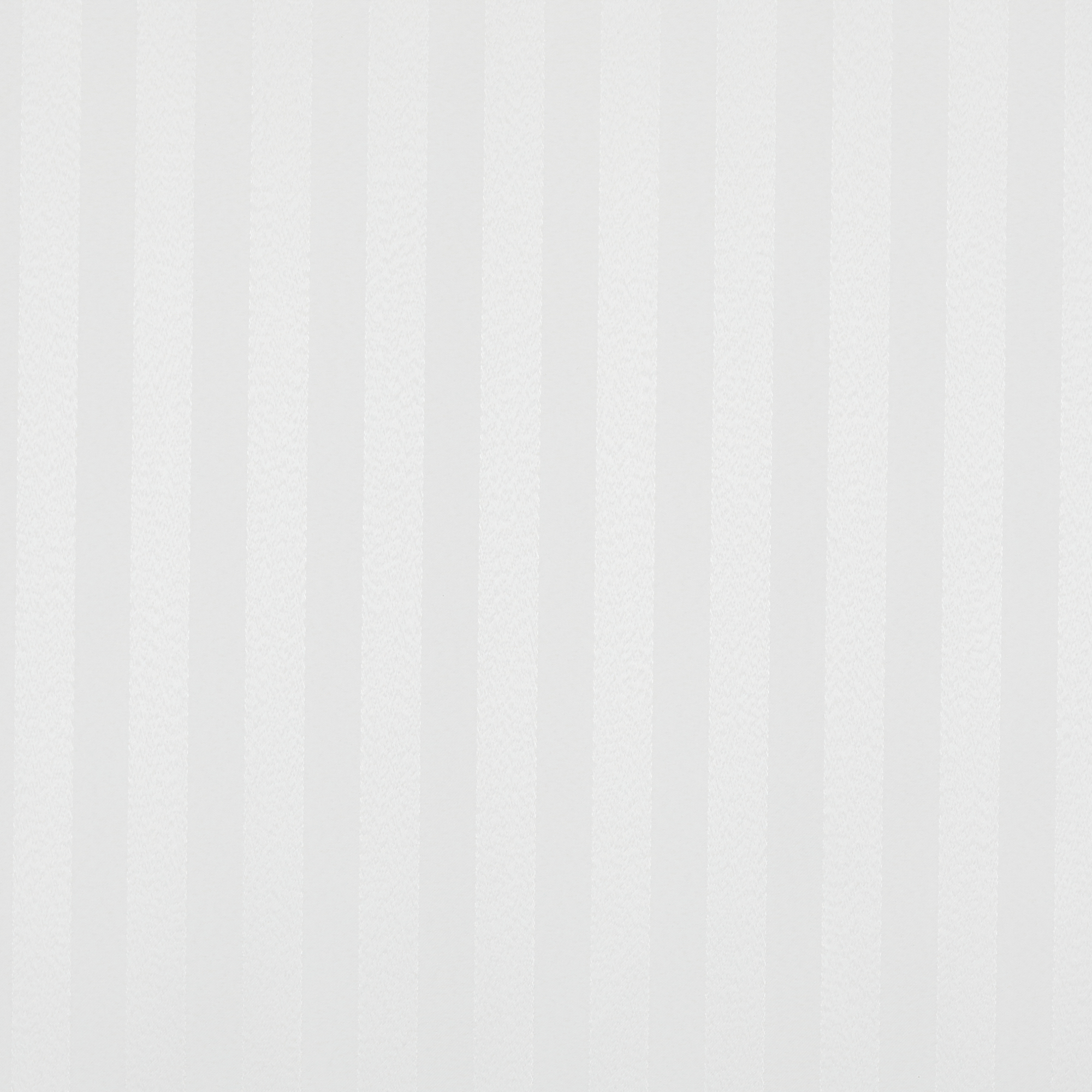 Strata ASC Snowdrop - 2025