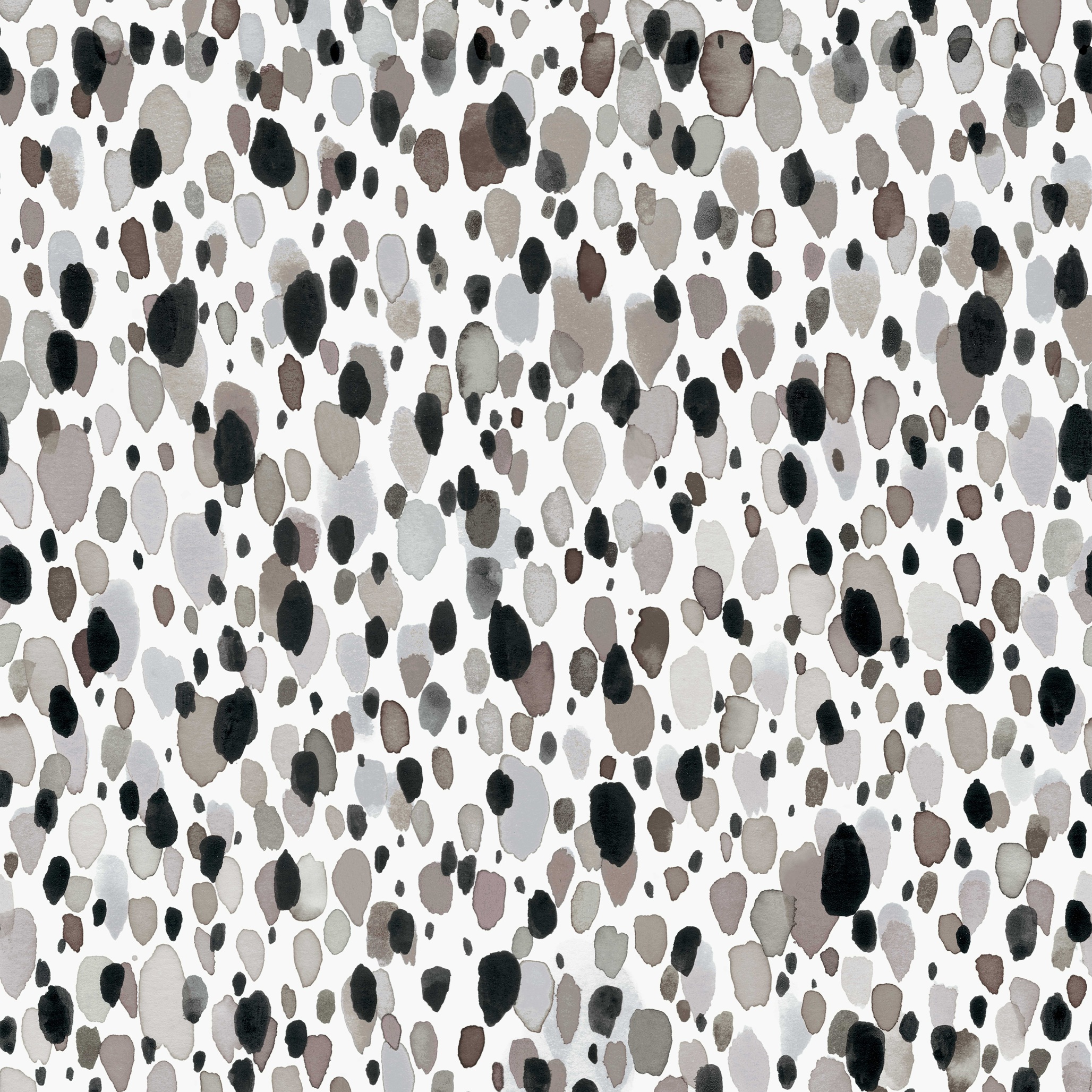 Vinnie Carbon - 2025