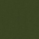 SLX Pop Blackout Fern -2025