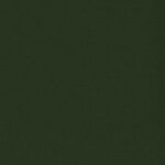 SLX Pop Blackout Ivy - 2025