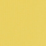 SLX Pop Blackout Lemon - 2025