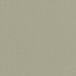 SLX Pop Blackout Oatmeal - 2025