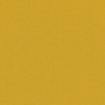 SLX Pop Blackout Saffron - 2025