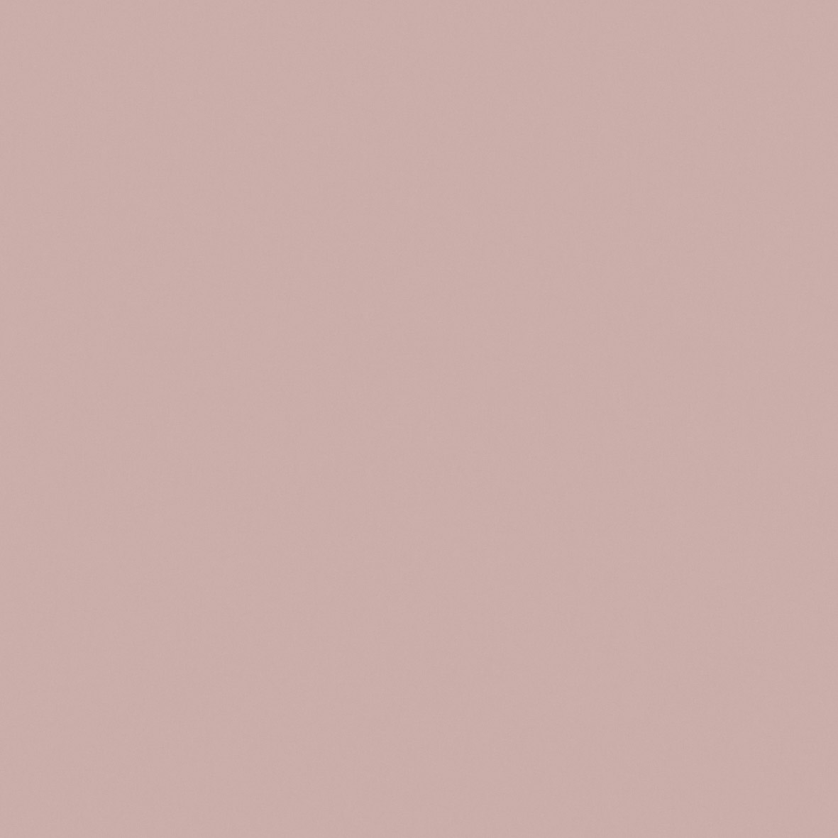 Banlight FR Blackout Rose - 2025