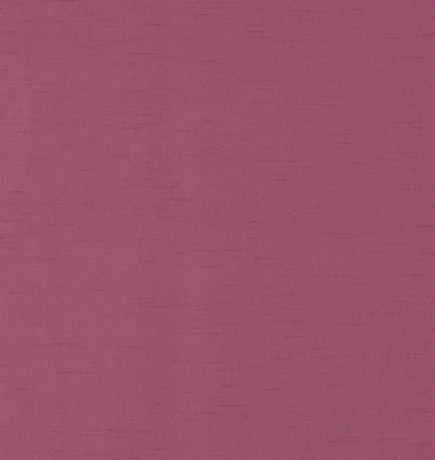 Agra Fuchsia - 2025