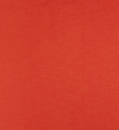 Astrid Fiesta - 2025