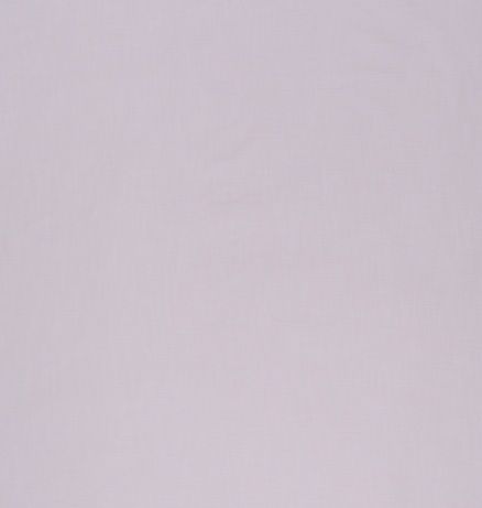 Astrid Lavender - 2025