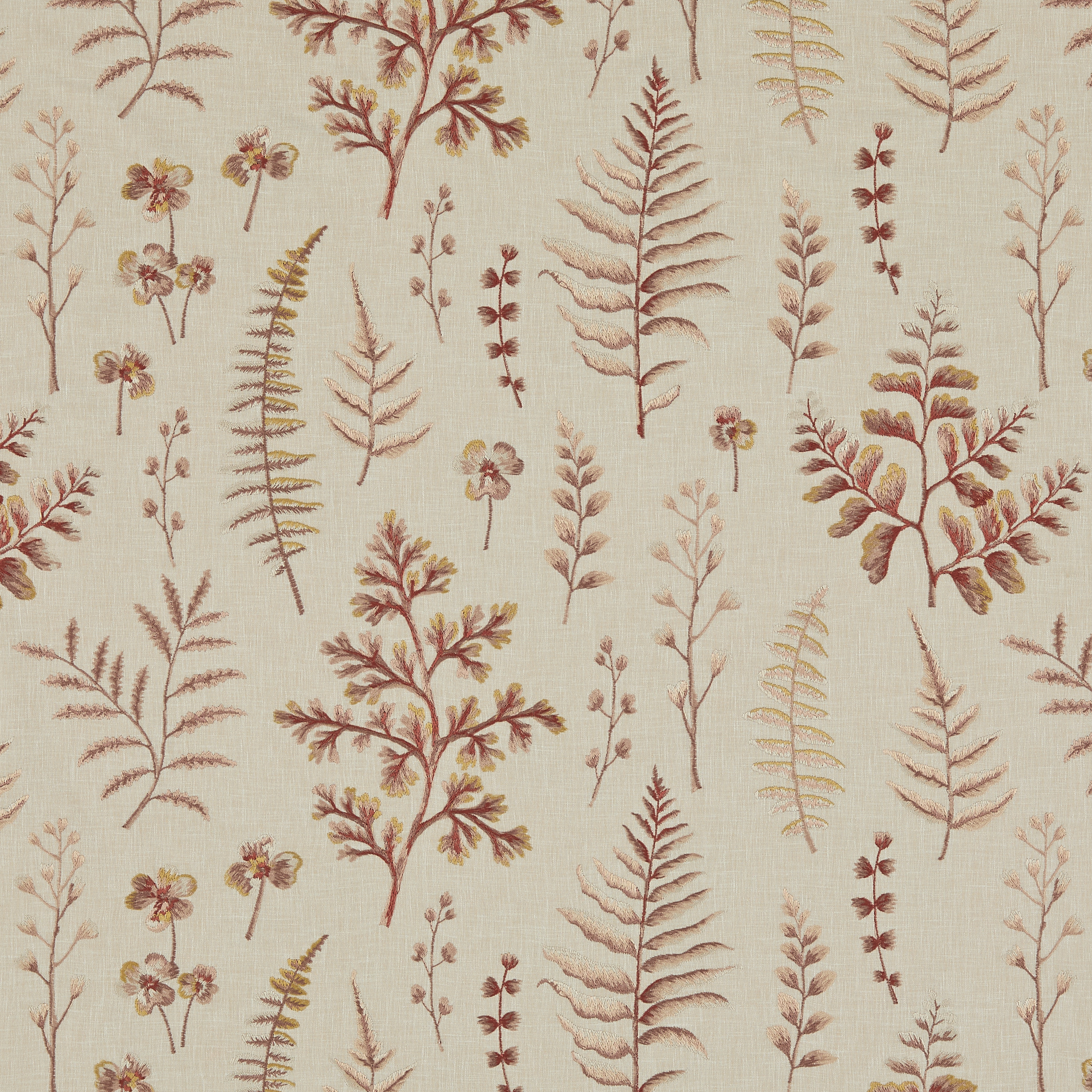 Felicity Autumn -2025