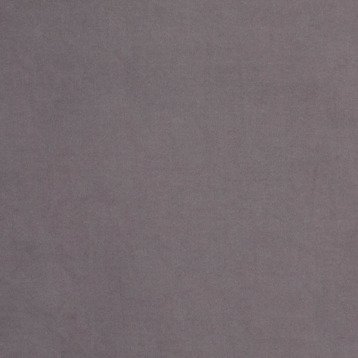 Glamour Signet - 2025