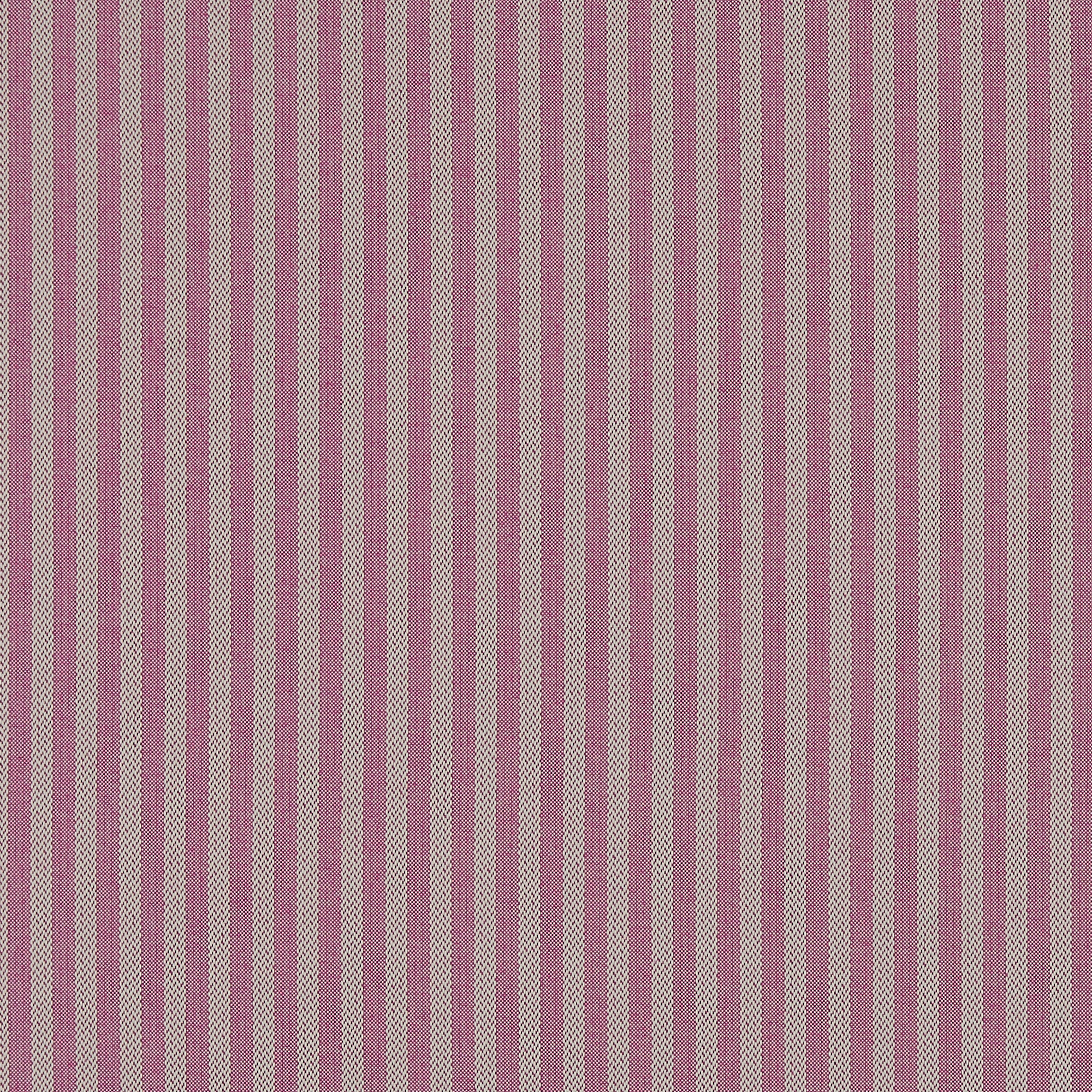 Logan Fushsia - 2025