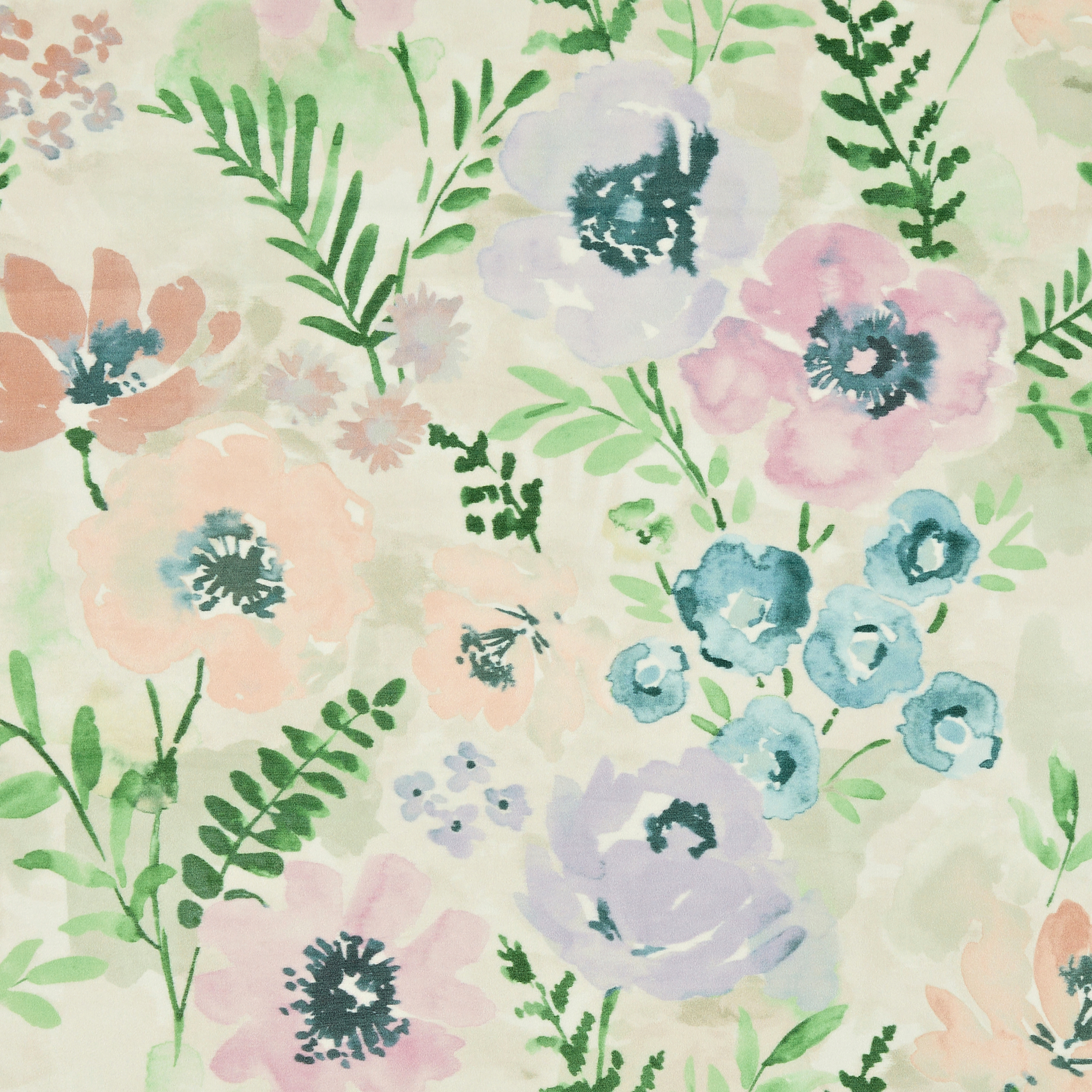 Mabel Lavender - 2025