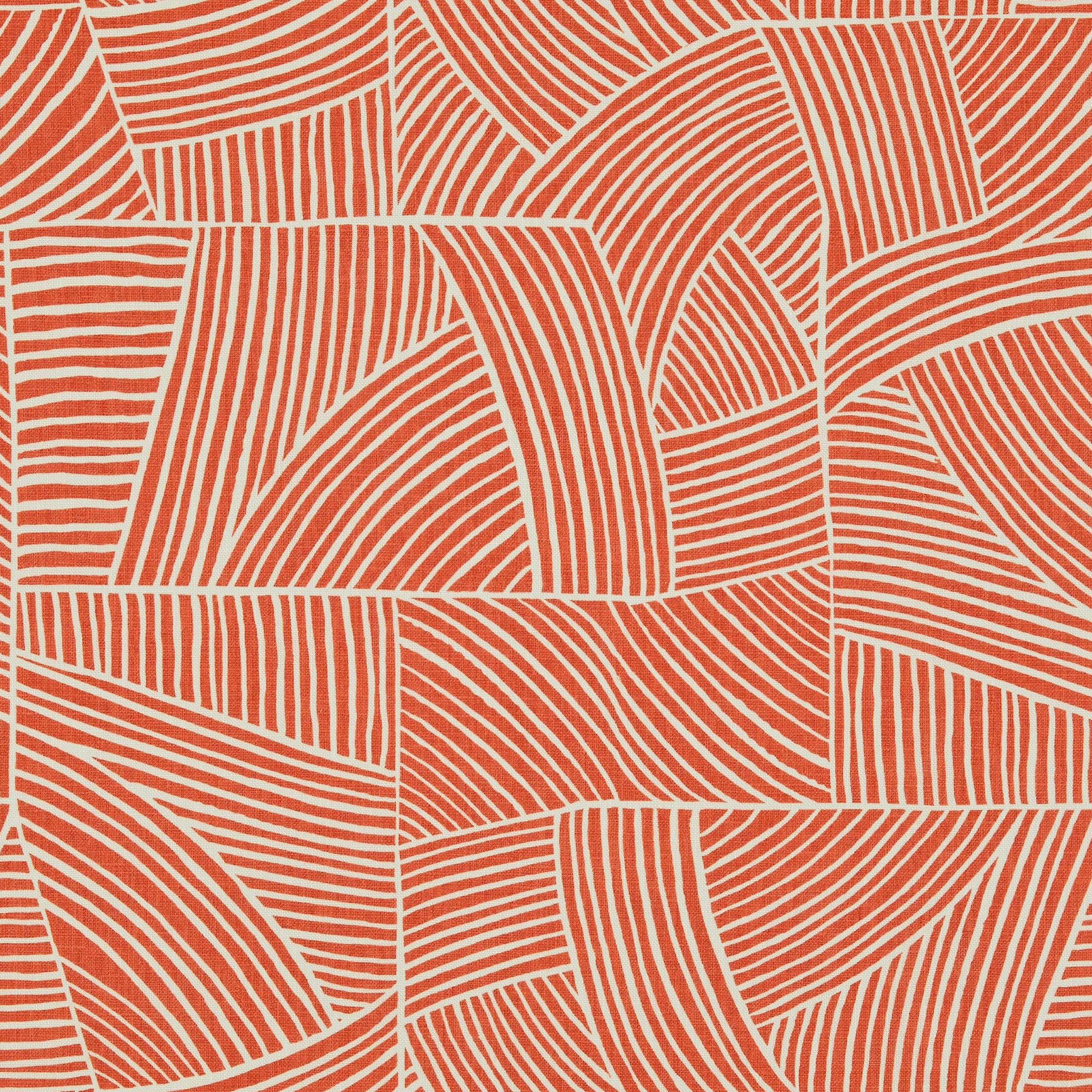 Maverick Tangerine - 2025