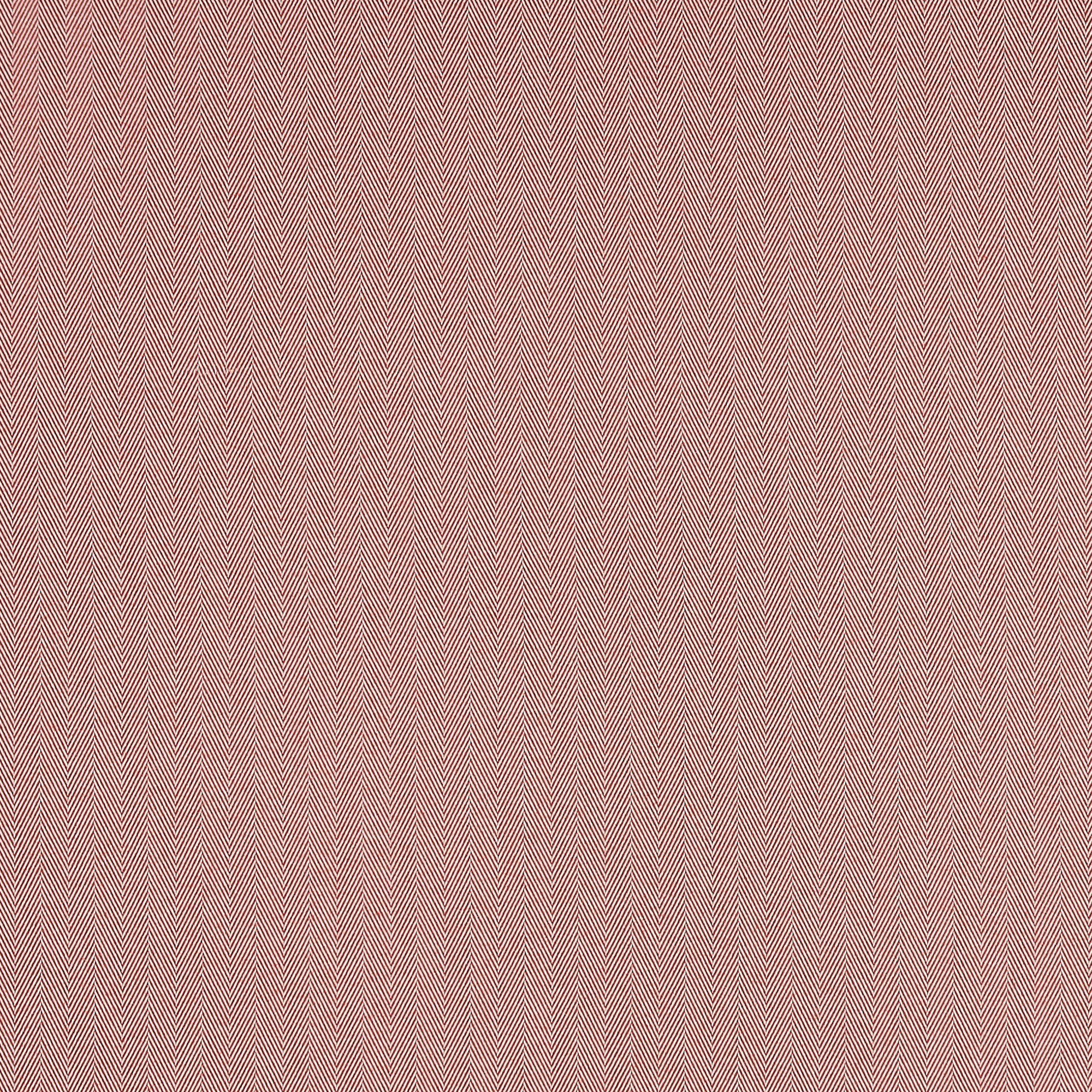 Maynard Coral - 2025