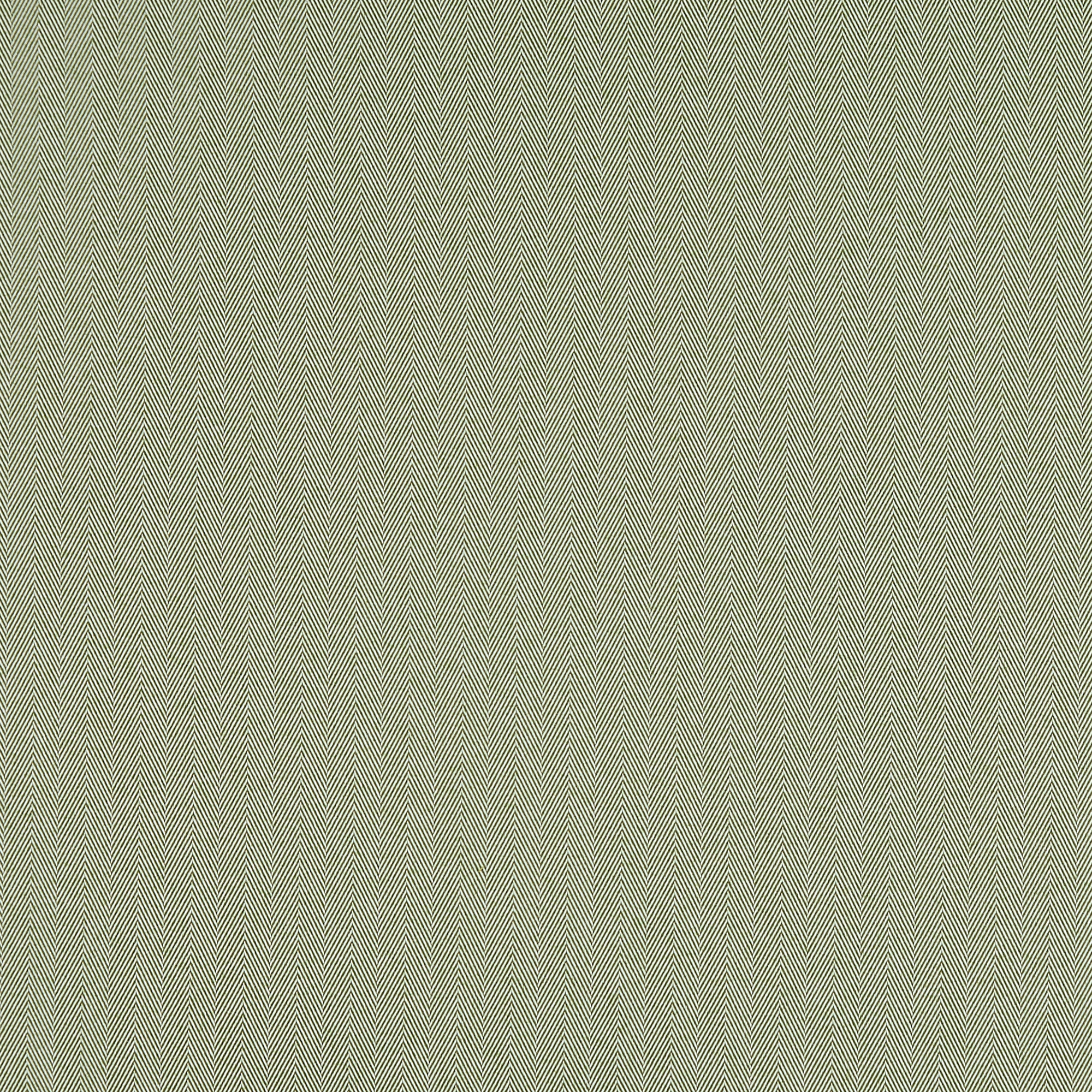 Maynard Spruce - 2025